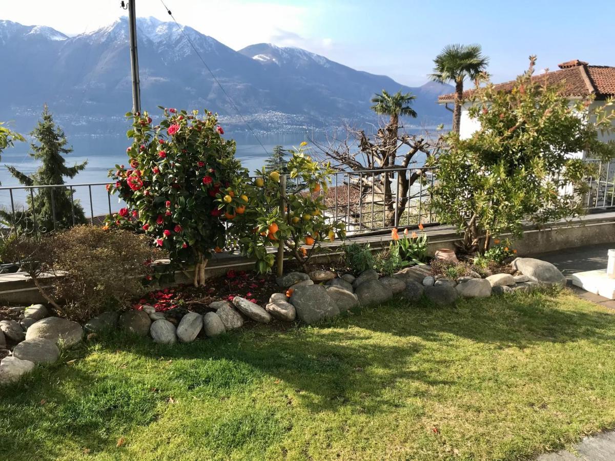 Camera Con Bagno Privato E Giardino Brione sopra Minusio ภายนอก รูปภาพ